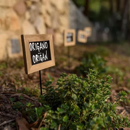 Maison Balu * Torri Del Benaco