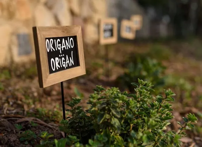 Maison Balu * Torri Del Benaco